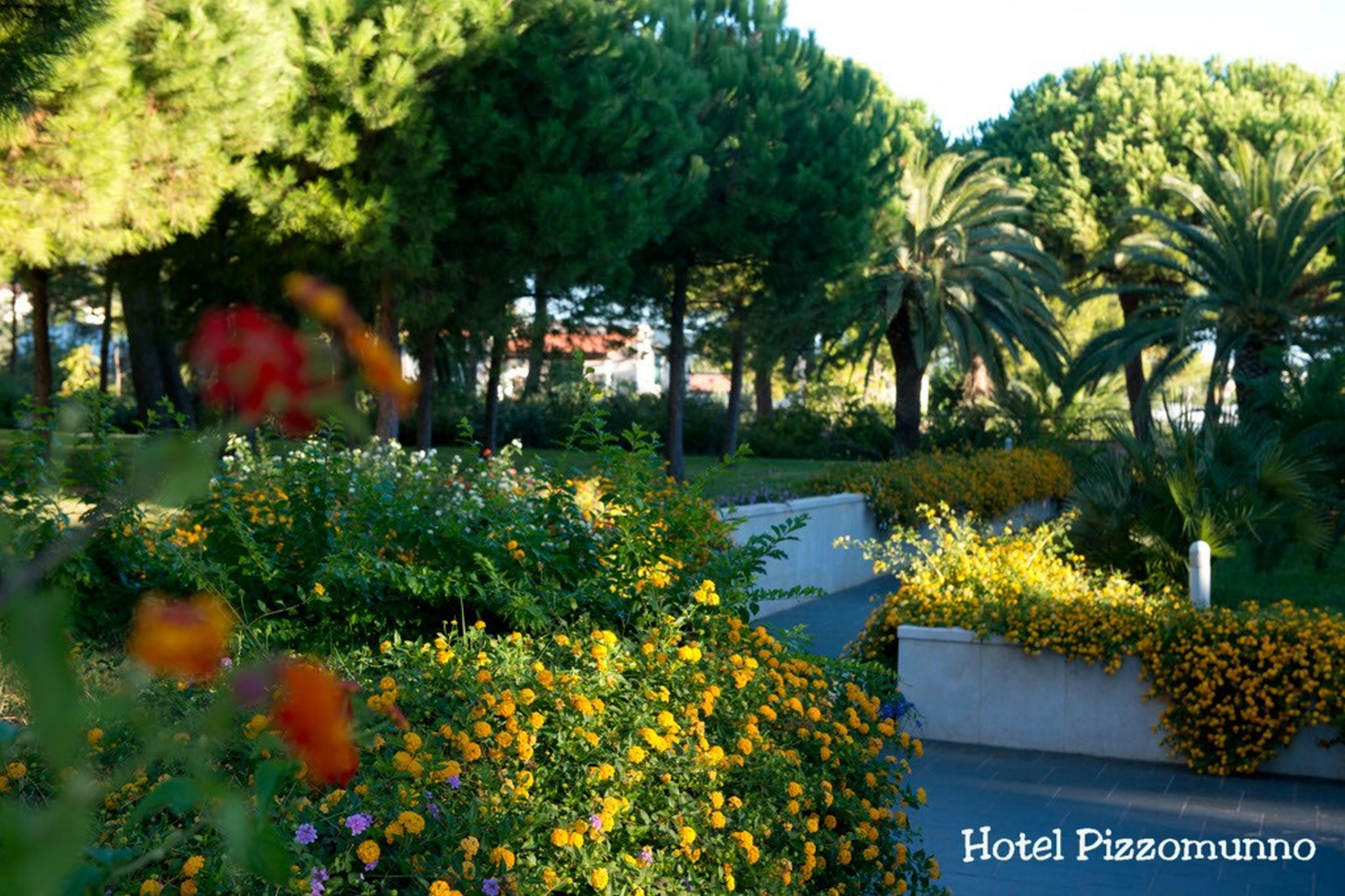 Pizzomunno Vieste Palace Hotel Exterior foto